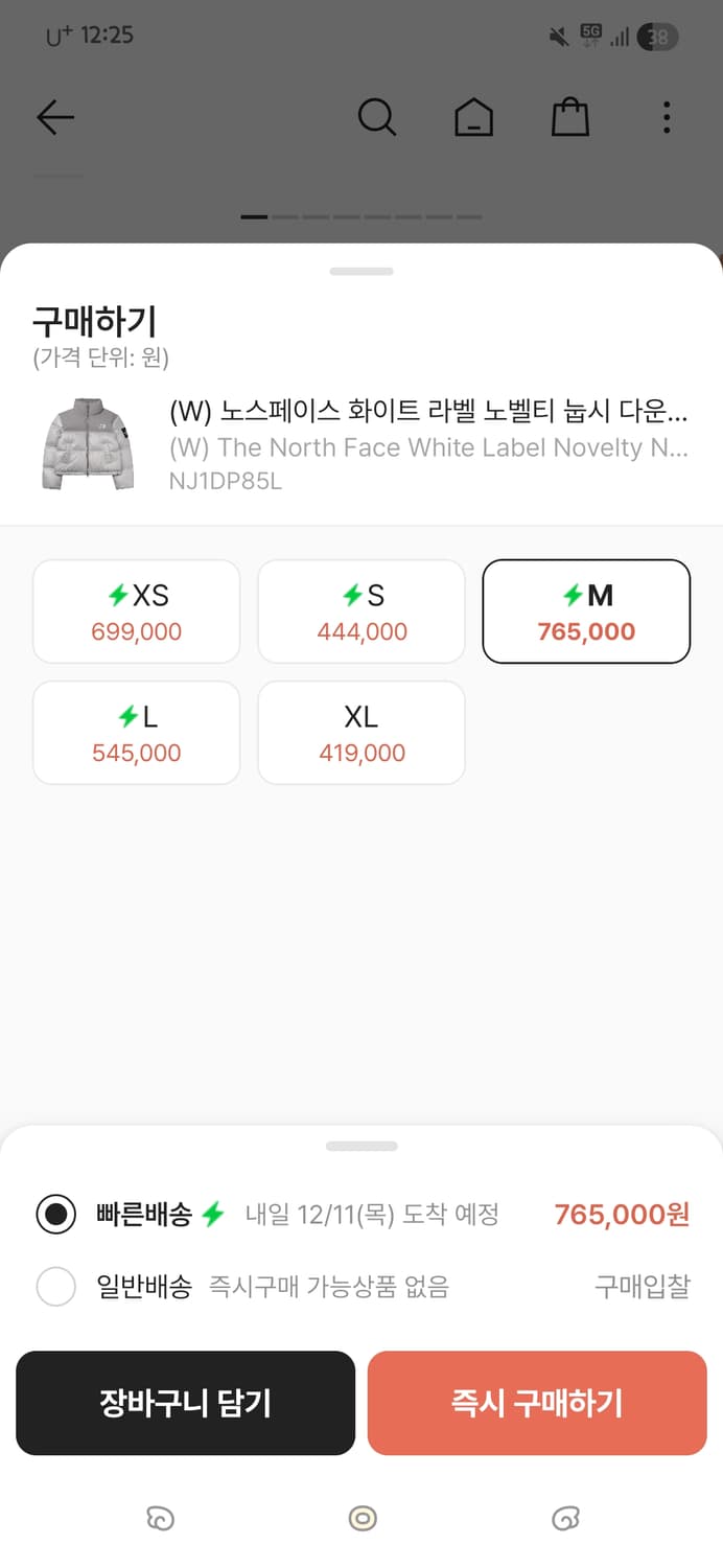 (W) 노스페이스 화이트 라벨 노벨티 눕시 다운 자켓 아이스 그레이 상품이미지3