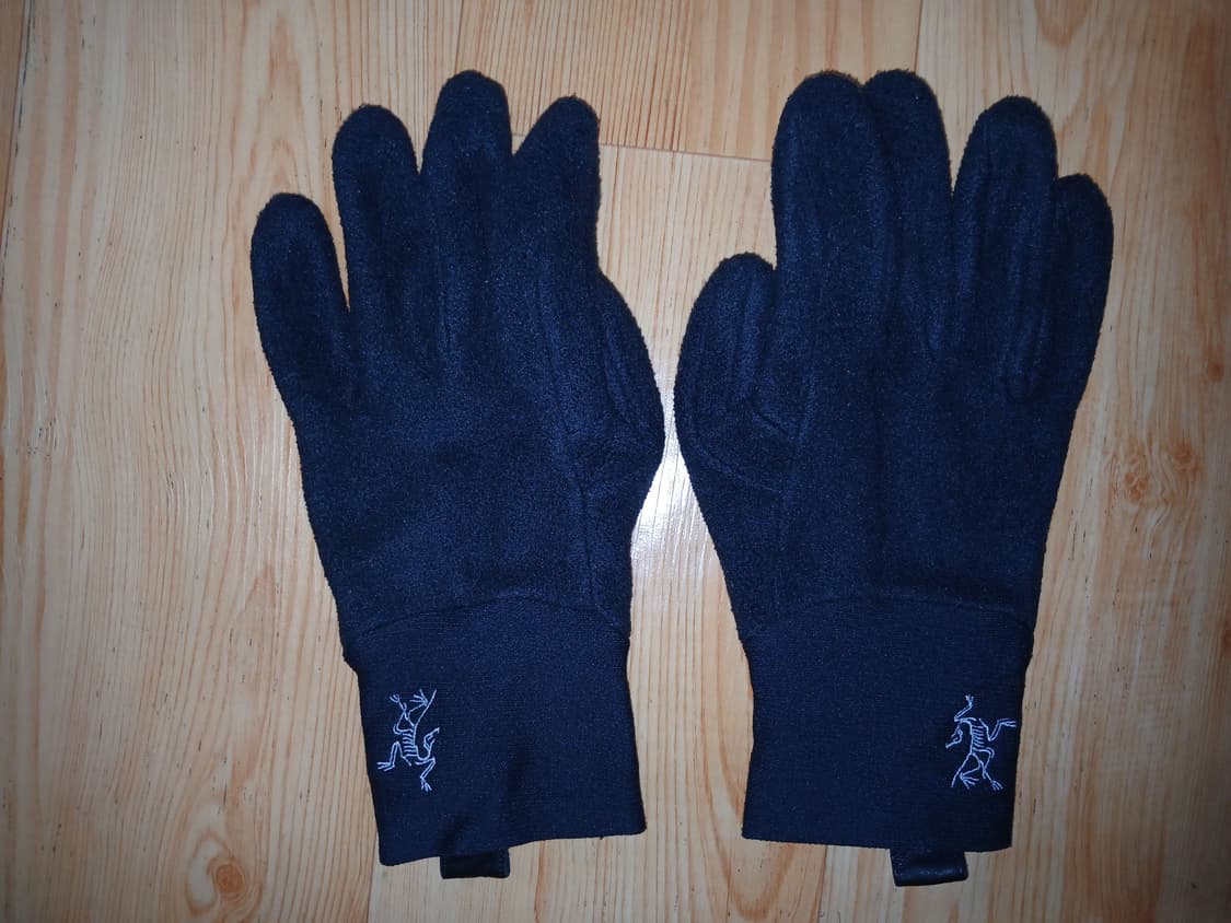 아크테릭스 델타 AR 글러브 (Delta AR Glove) 상품이미지1