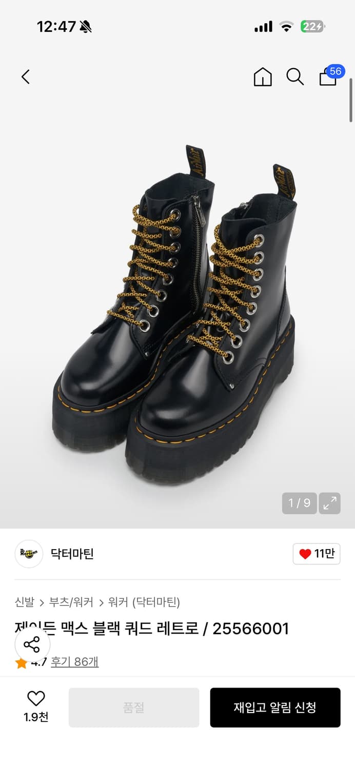 닥터마틴 제이든 맥스 250 상품이미지1