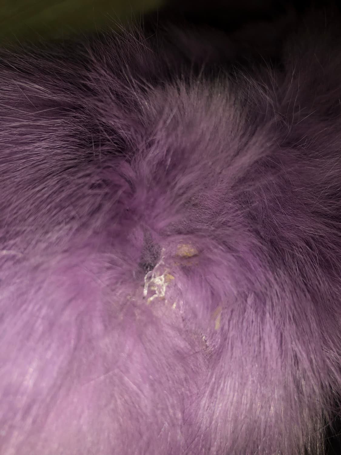 빈티지 구제 y2k 키치 갸루 보라 리얼 래빗퍼 자켓 상품이미지9