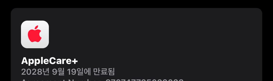 애플워치10 에르메스 실버 46mm 링크브레이슬릿 밴드 상품이미지5