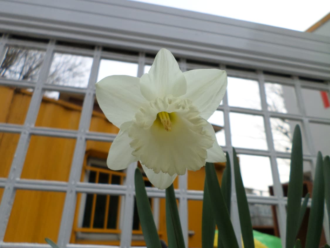 삼성 DV2014F (듀얼뷰 카메라) 빈티지디카 상품이미지8