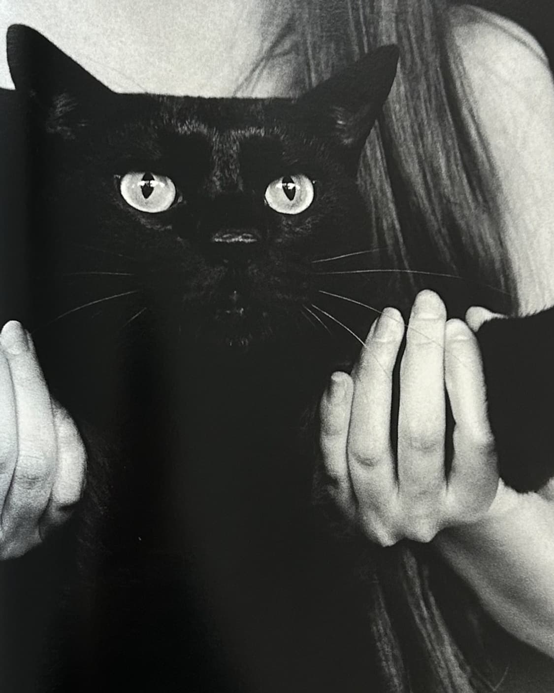 Chiba Chiba (1996)  초판 사진집 아트북 희귀서적 일본서 상품이미지7