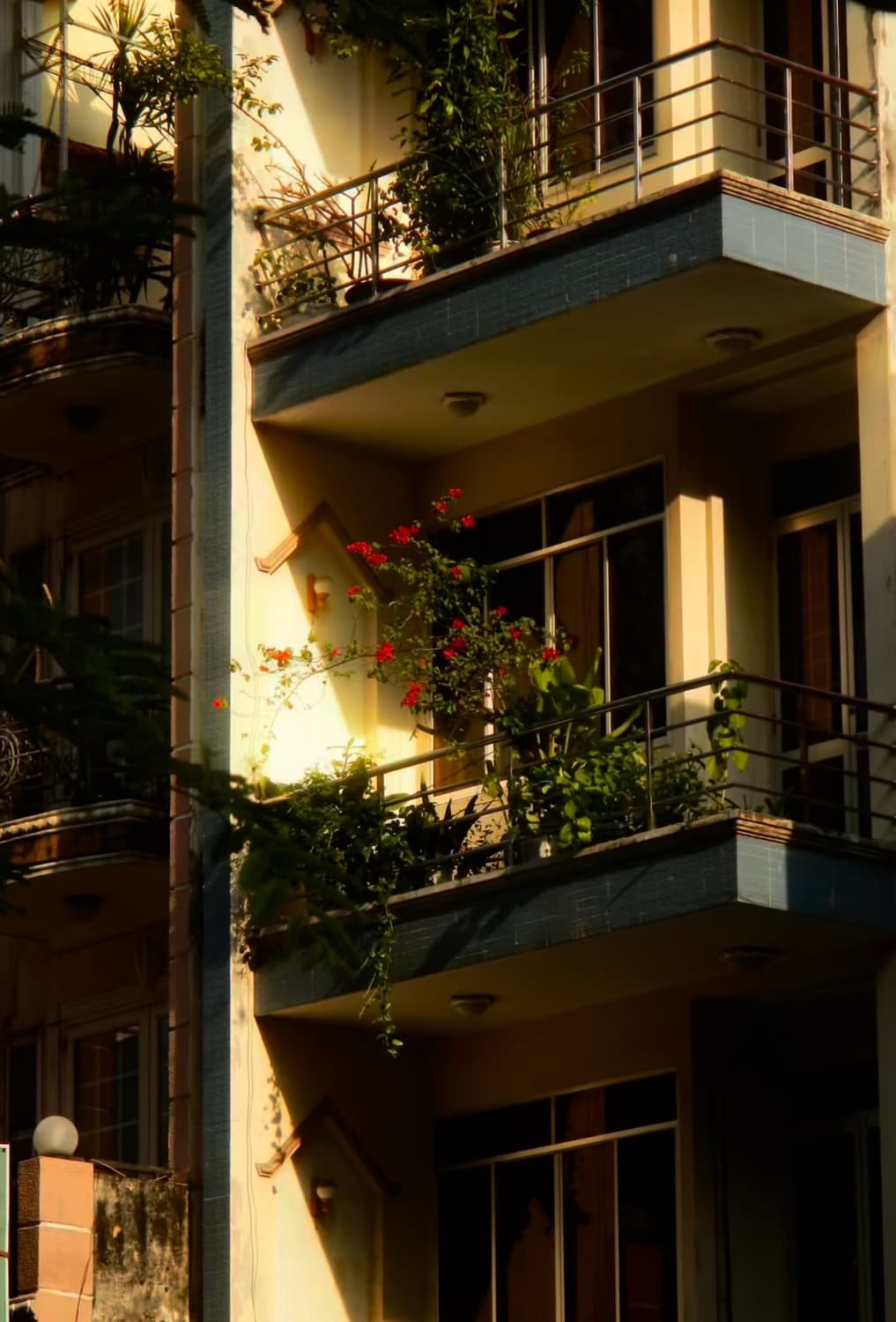 작례ㅇ 니콘 쿨픽스 aw100 카모 nikon coolpix aw100 상품이미지8