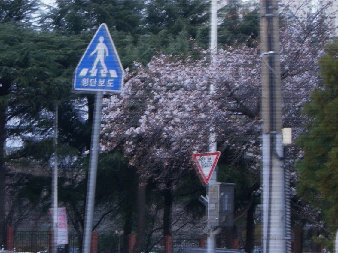 (작례O)카시오 엑슬림 s600 상품이미지5