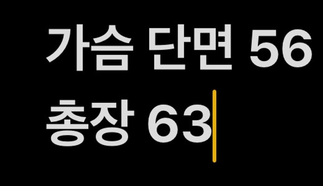[ 정품/M ] 나이키 빅스우시 바람막이 자켓 b15 상품이미지8