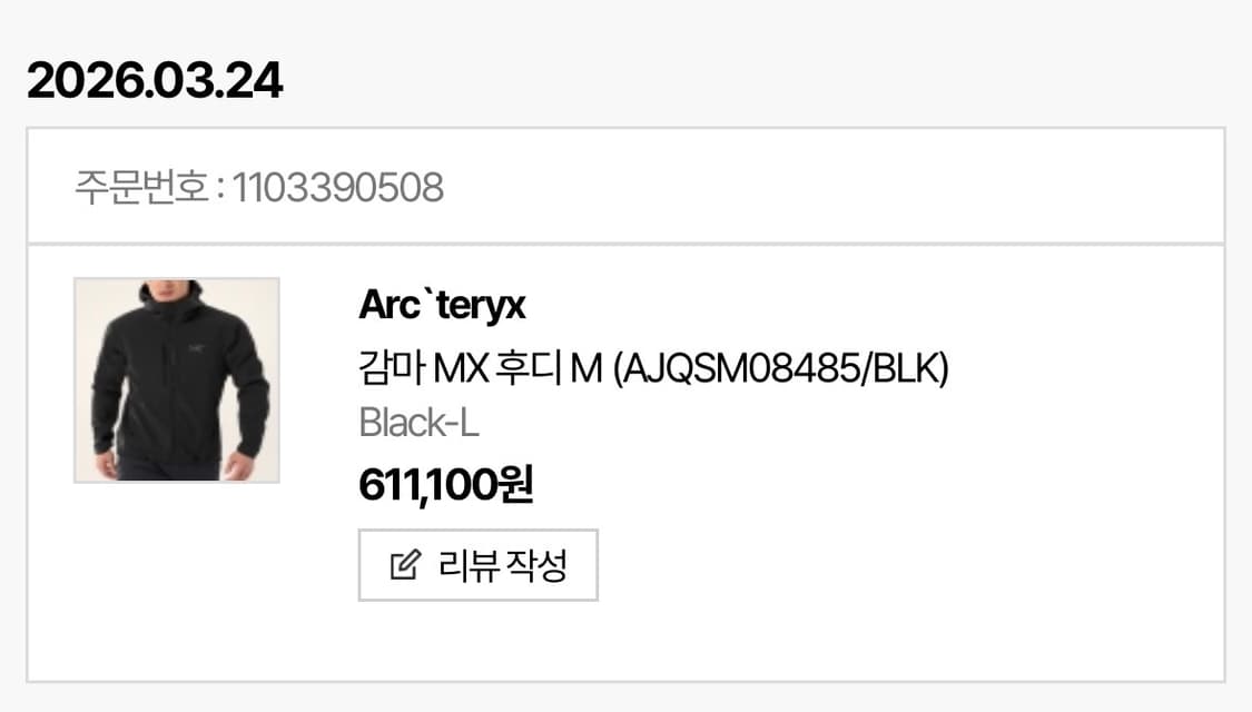아크테릭스 gamma mx hoody m (size:L) 상품이미지3
