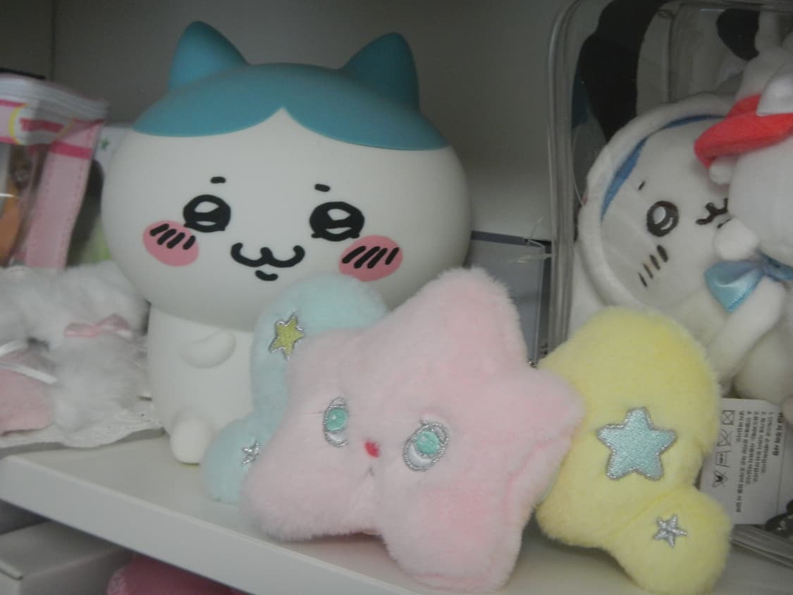 nikon coolpix 니콘 쿨픽스 aw100 오렌지 상품이미지6