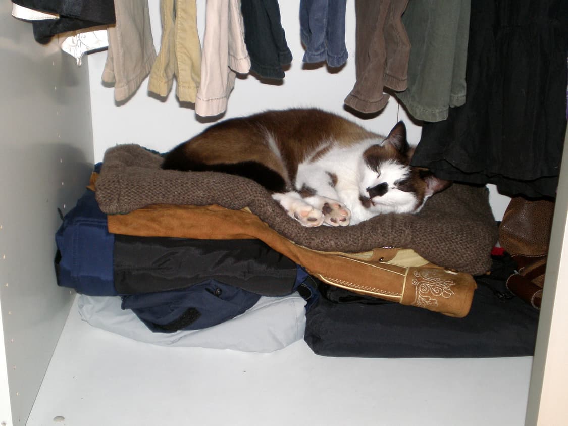 (색감/감성)올림푸스 Olympus  X-750 빈티지 디카 디지털카메라 상품이미지7