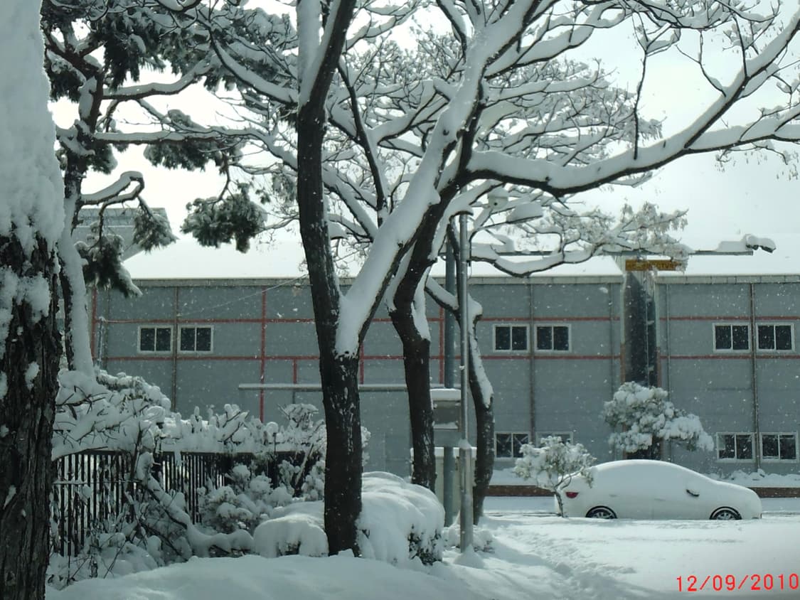 작례)Agfaphoto eclipse explorer 빈티지 캠코더 디카 상품이미지10