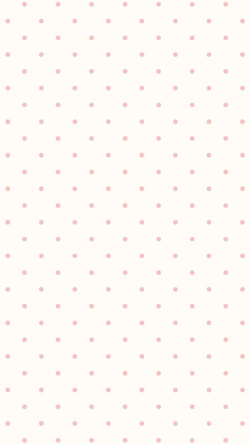 카결창 상품이미지1