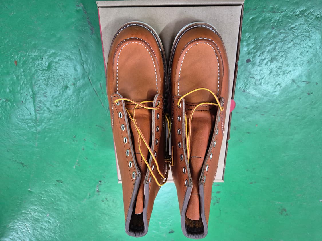 레드윙 875 275 E 사이즈 새제품 상품이미지2