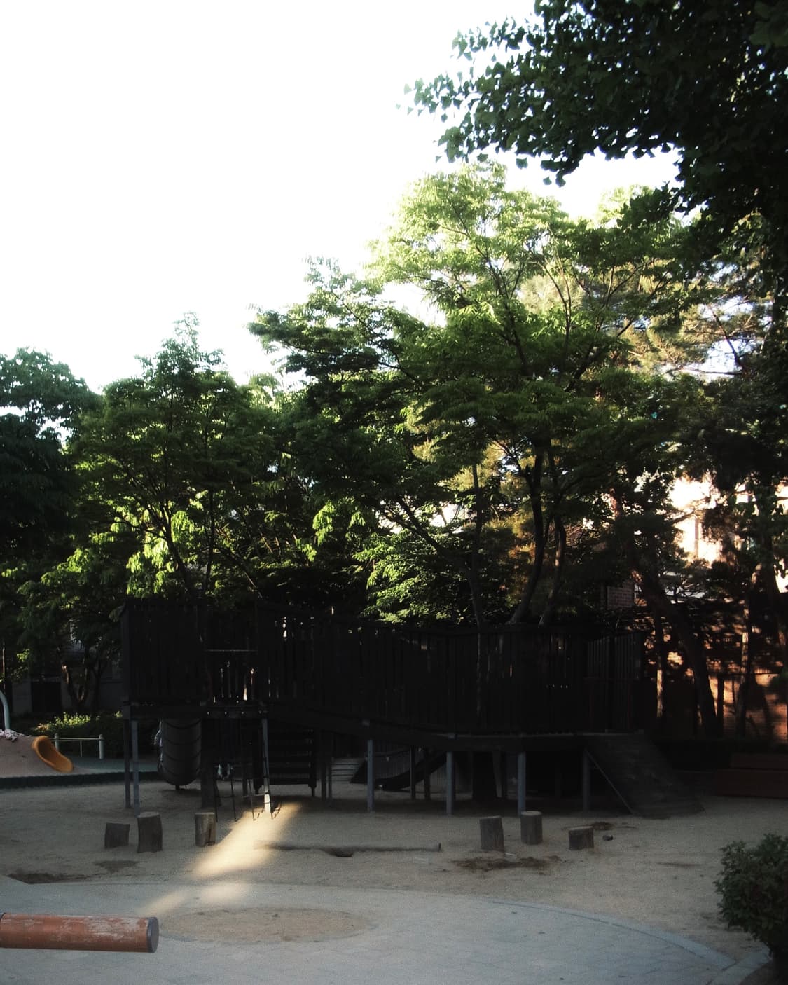 리코 CX4 디카 (작례포함) 상품이미지6