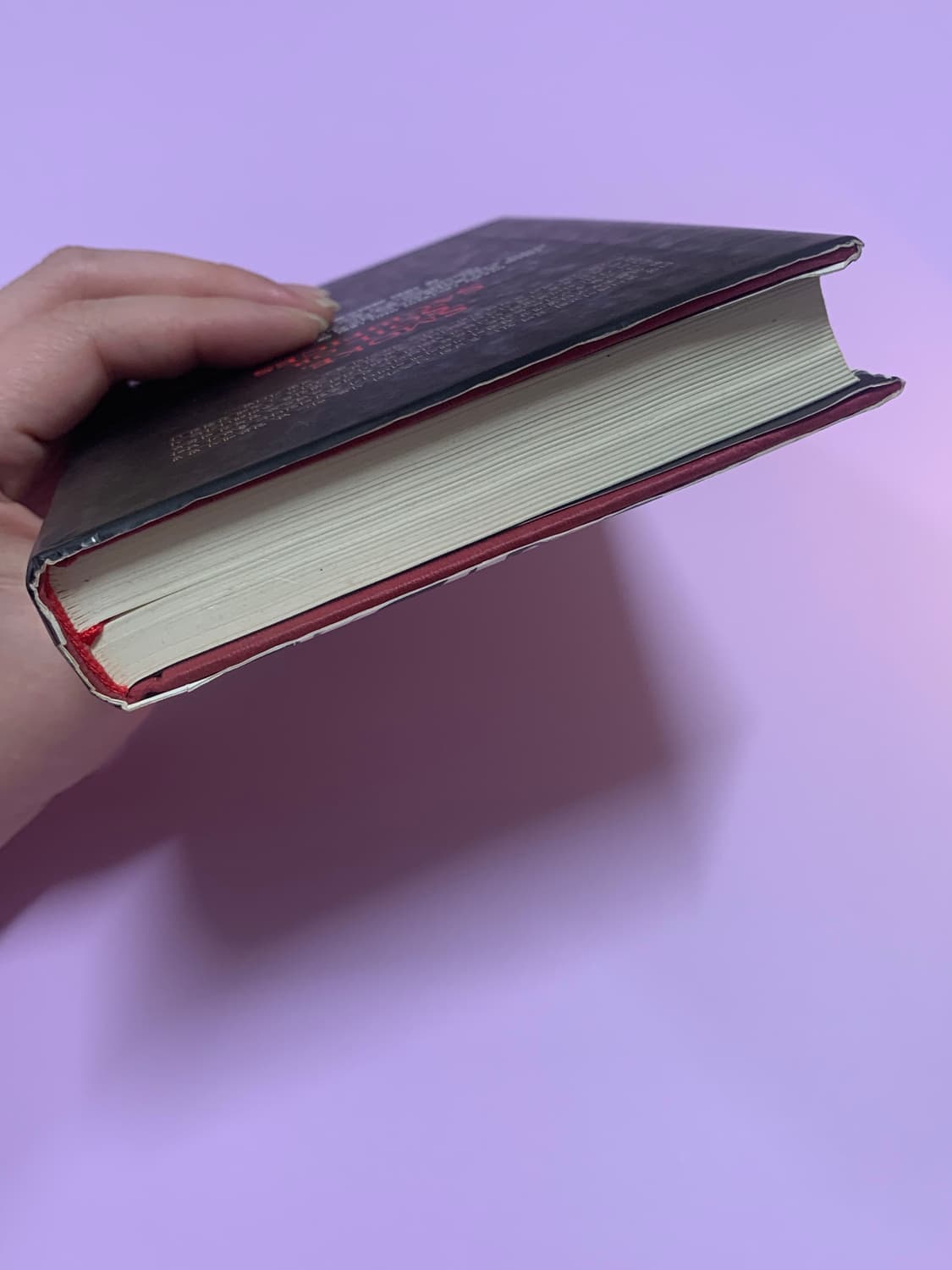 마이조 오타로 소설 <연기 흙 혹은 먹이> 상품이미지2