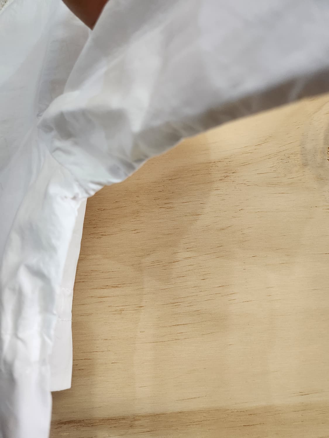 103) 여성 반팔 크롭 블라우스 상품이미지3