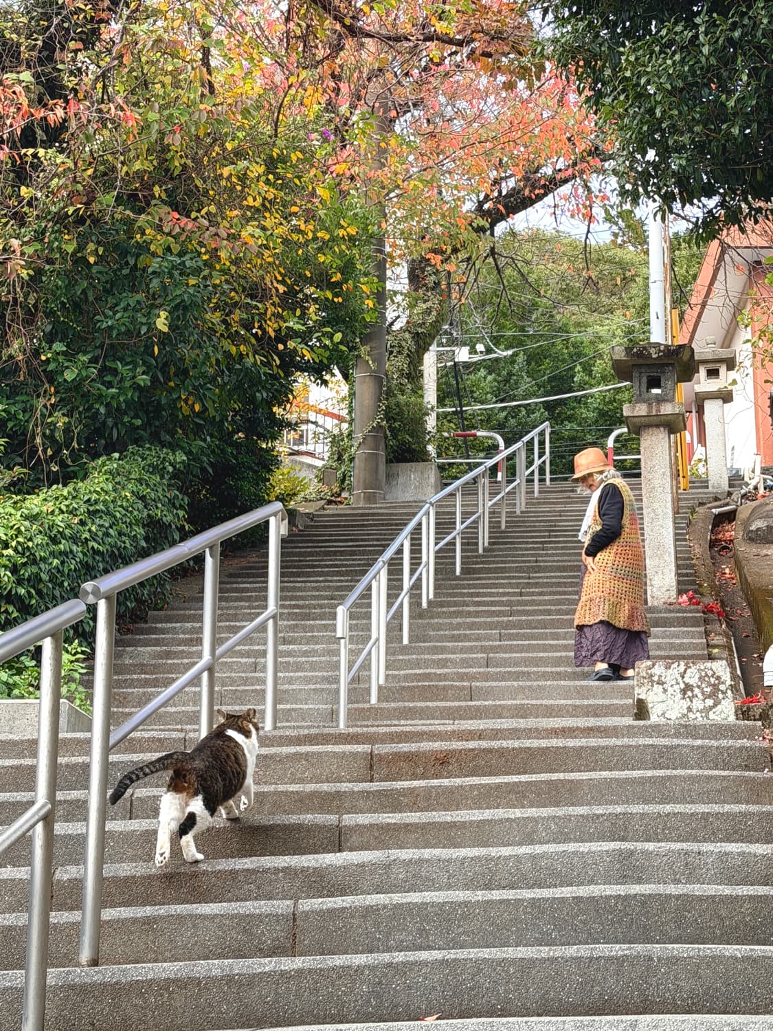 상태 굿👍소니 사이버 샷 DSC-W610 핫핑크 디카 ⭐ 상품이미지10