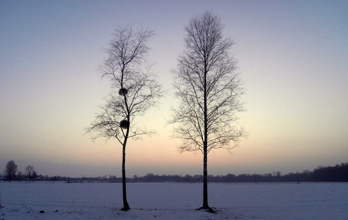 작례O 장동건 디카 삼성 블루 nv24hd 디지털카메라 빈티지 상품이미지6