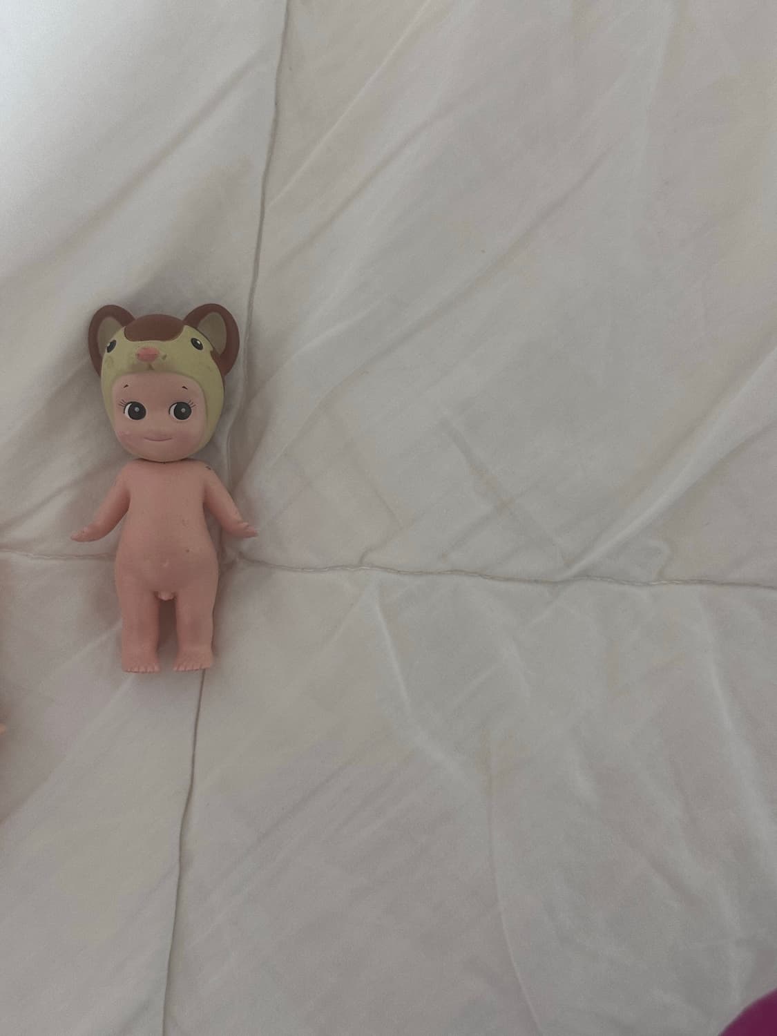 소니엔젤 몽구스  상품이미지2