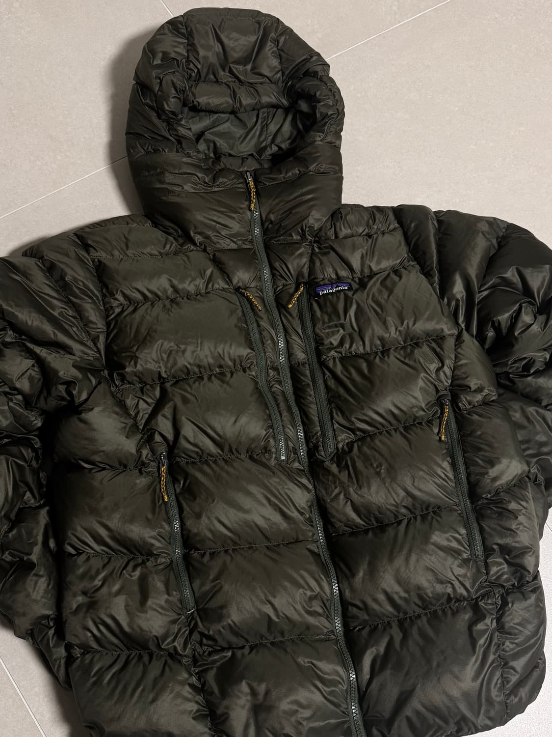 파타고니아 피츠로이 베이슨그린 M/M 판매 상품이미지2