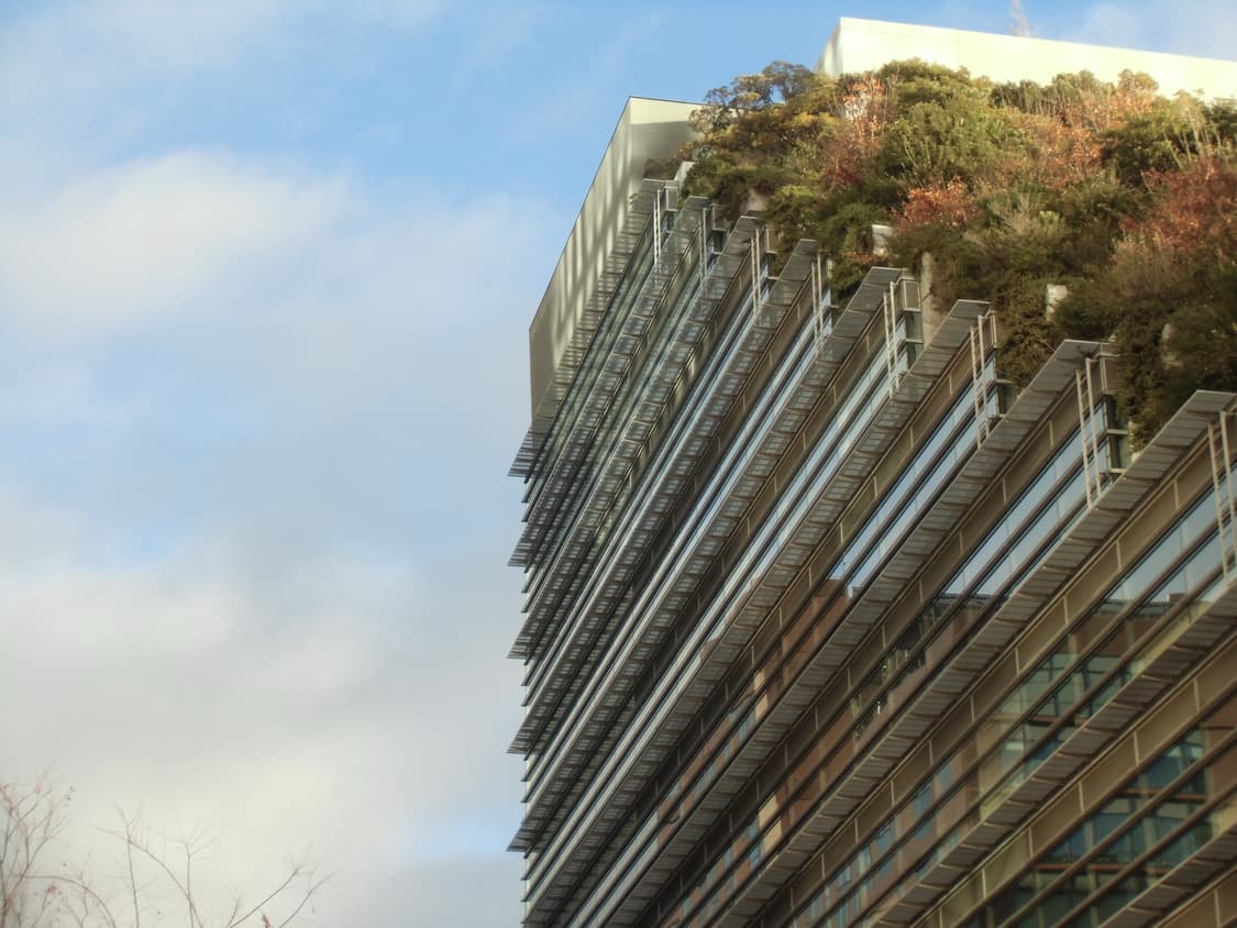 카시오 엑슬림 zs170(작례 있음) 상품이미지10