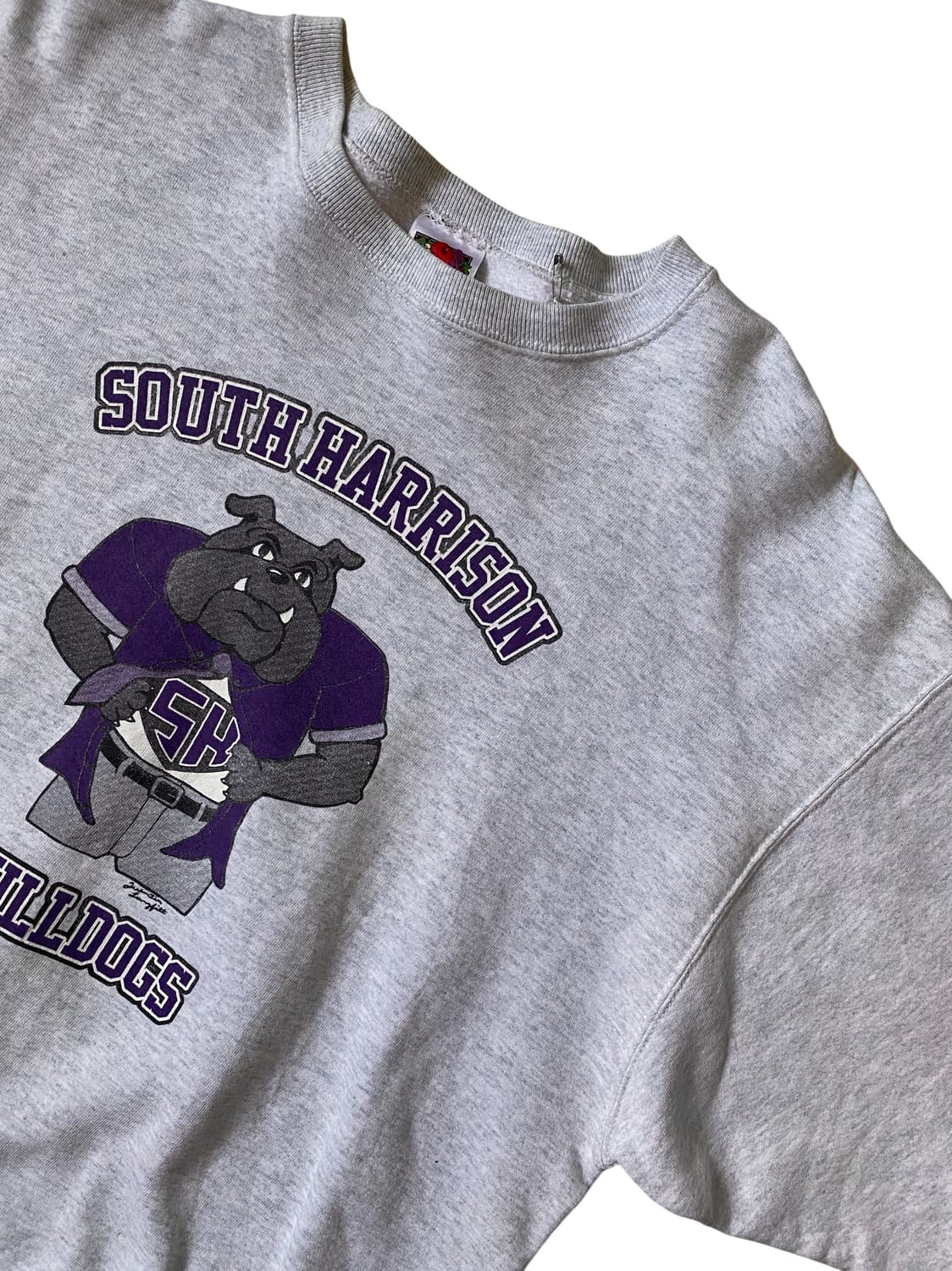 프룻 오브 더 룸 스웻셔츠 (Man XL) AB1344 상품이미지3