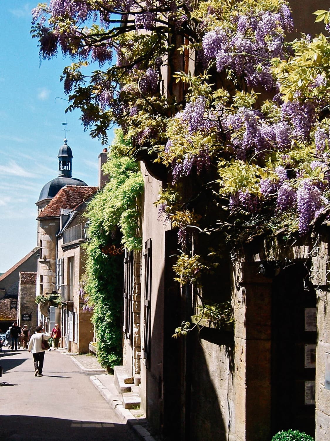 Panasonic Lumix DMC-FX10 (파나소닉 FX10) 상품이미지9