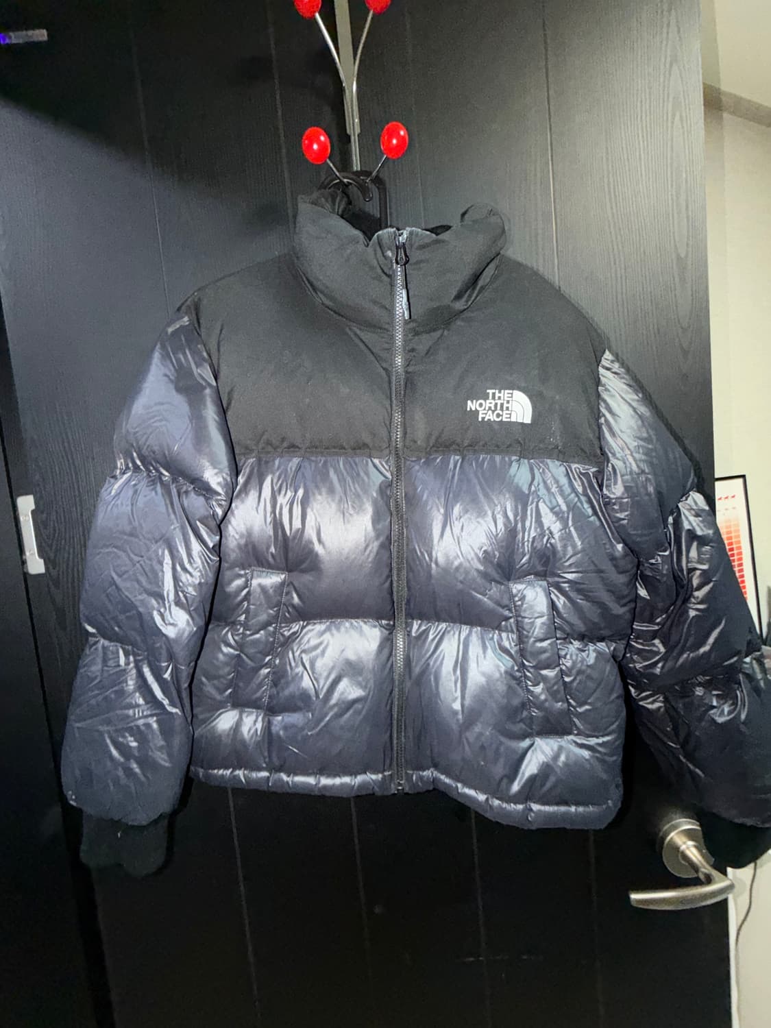 노스페이스 여성 노벨티 눕시 다운 자켓 패딩 NJ1DL81K 상품이미지1