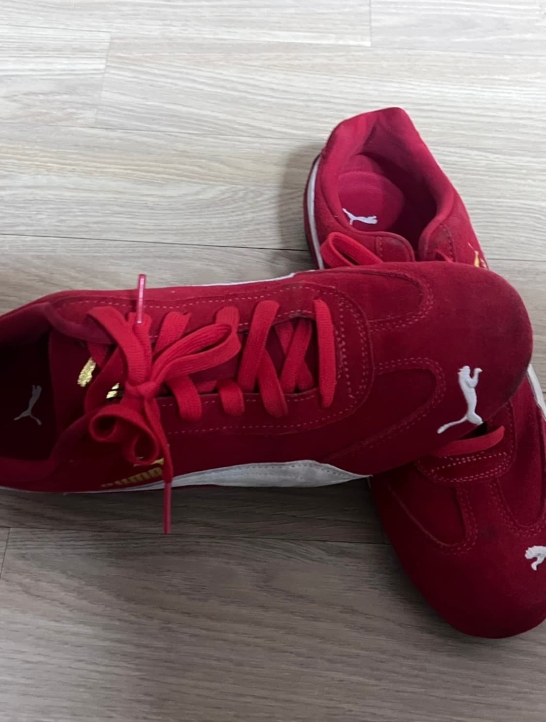 퓨마스피드캣 상품이미지2