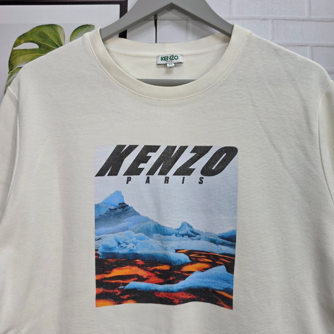 KENZO 겐조 프린팅 그래픽 반팔 티셔츠 (M) 상품이미지2