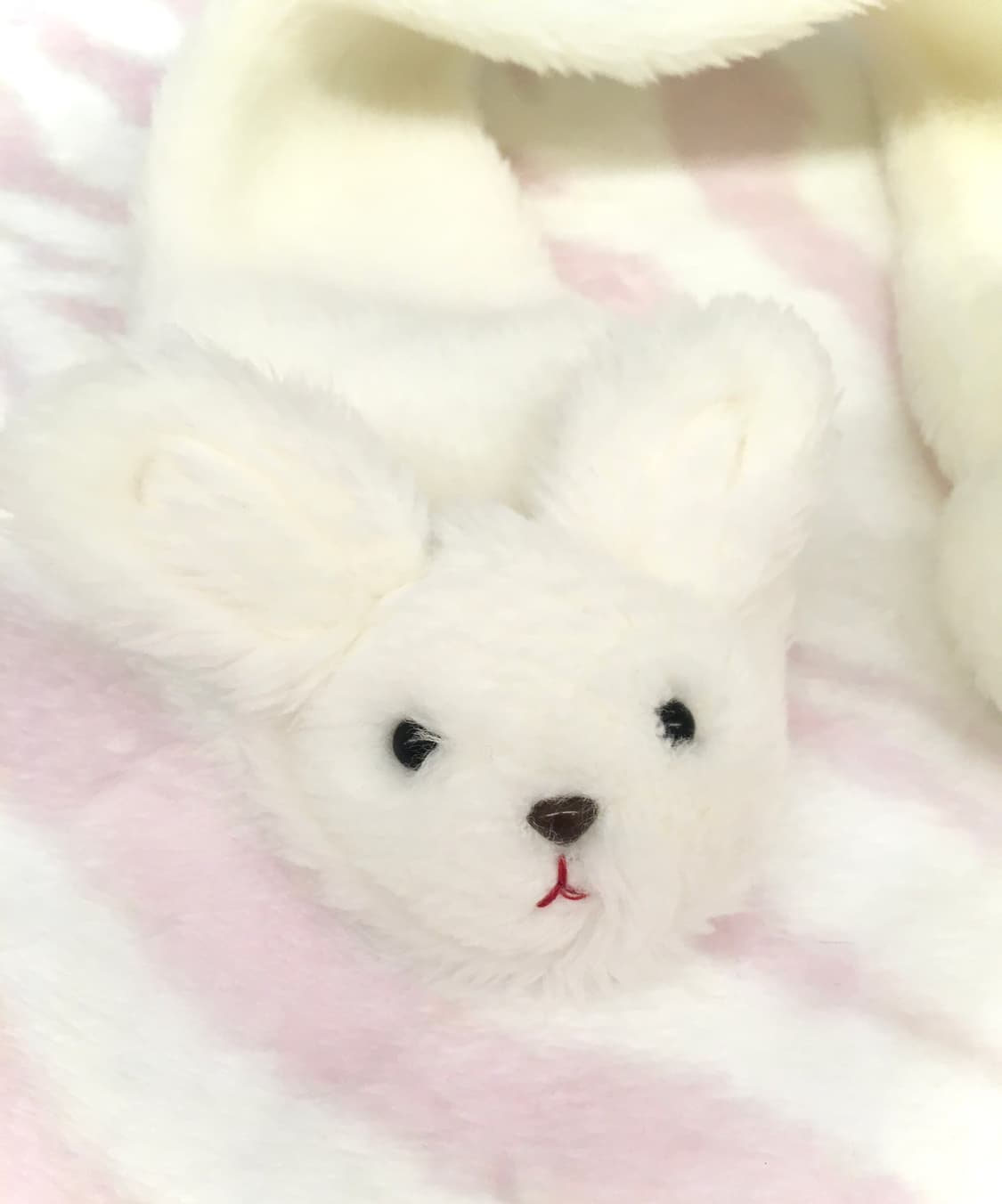 멍뭉이 퍼 목도리 폼폼이 강아지 모리걸 조지후쿠 달천깔 상품이미지2