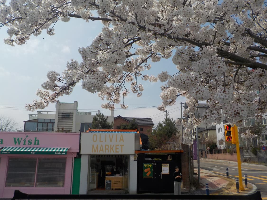 [초인기💕] 찰스엔터 니콘 쿨픽스 W100 핑크 상품이미지8