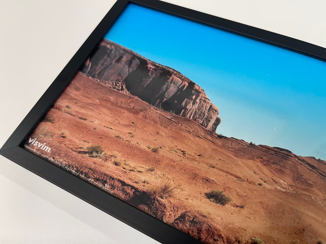 비즈빔 2011ss 컬렉션 아트 포토 visvim 상품이미지2