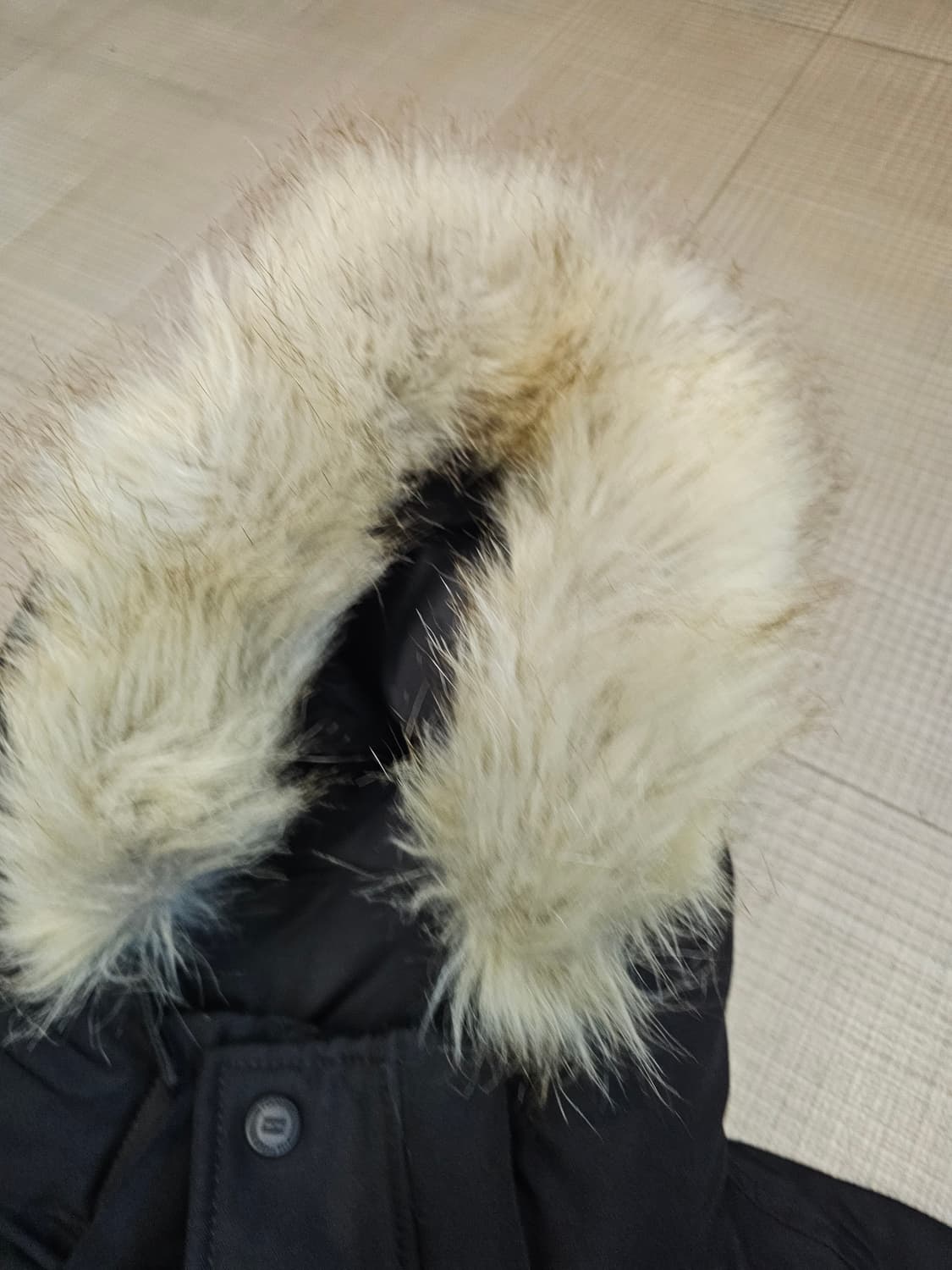 타미힐피거 구스 숏패딩  상품이미지5