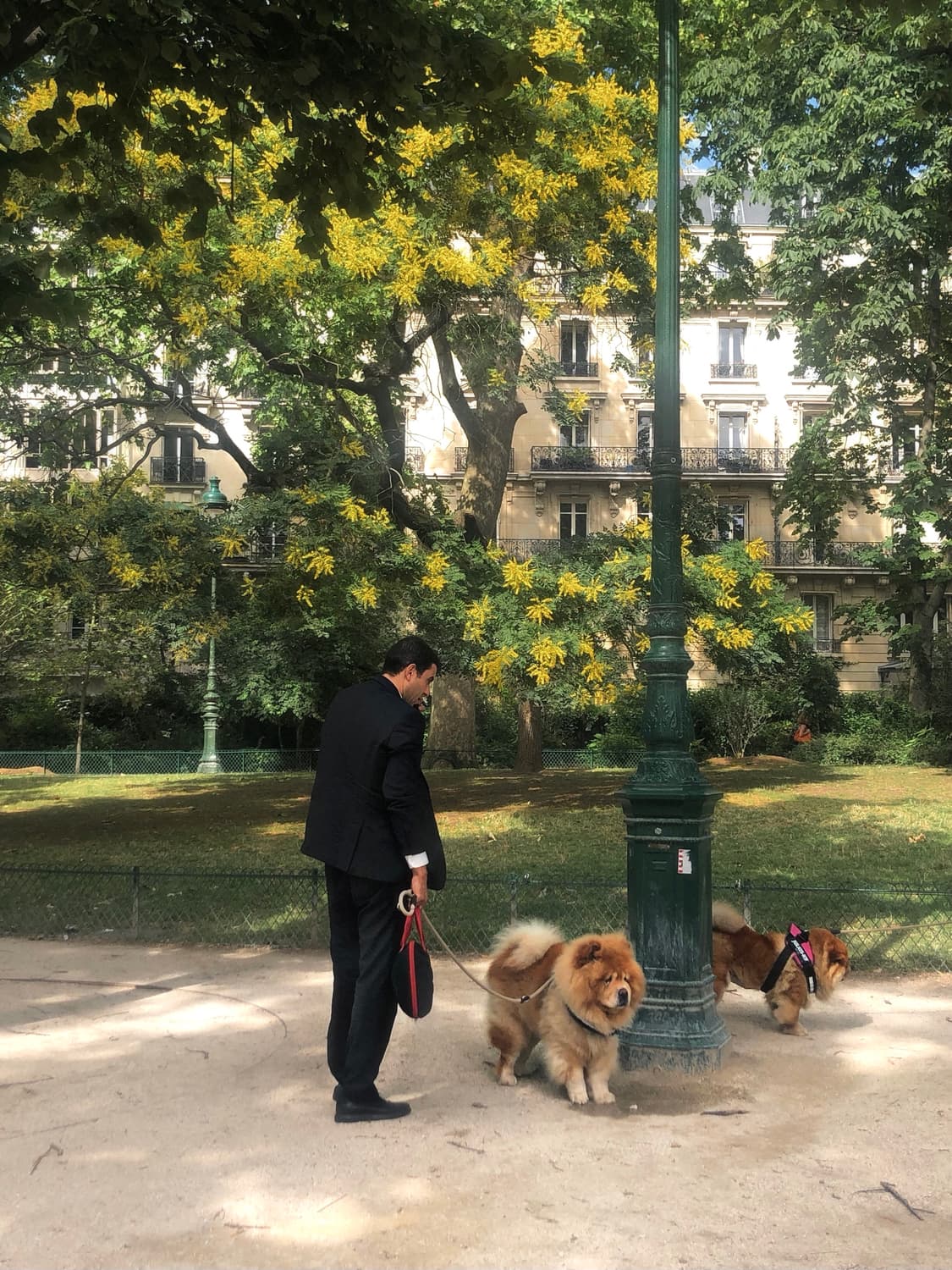 캐논 EOS M50 +렌즈2개 상품이미지7