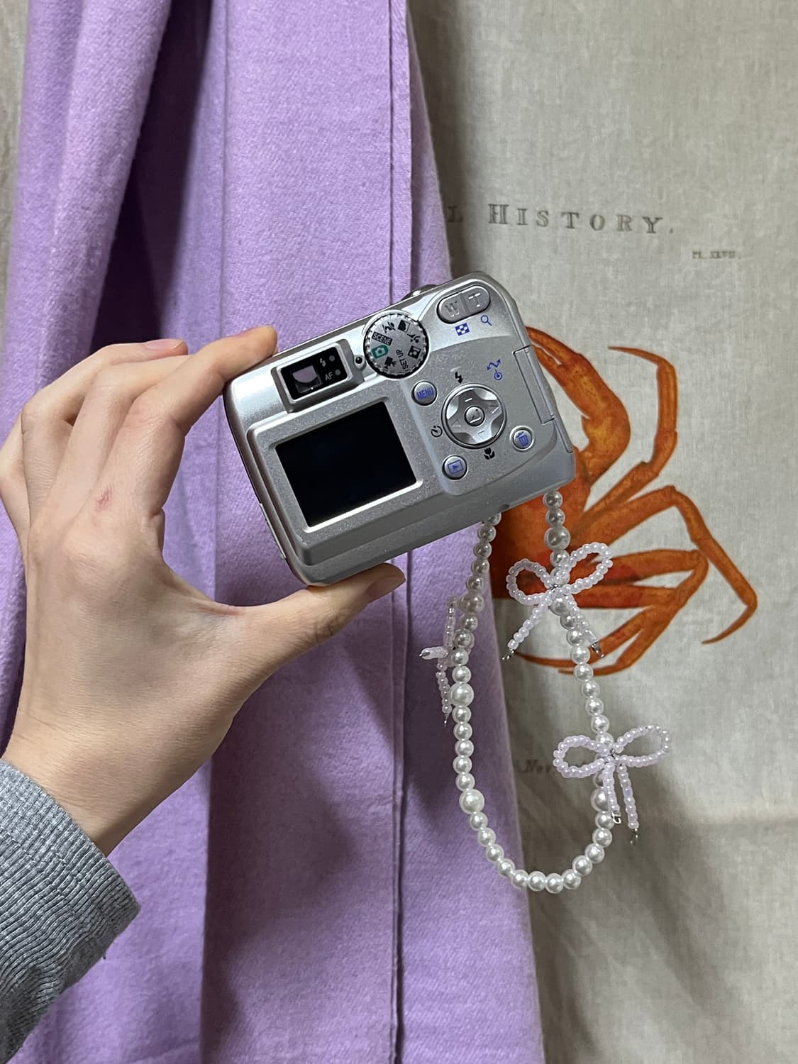 니콘 쿨픽스 3200 상품이미지2