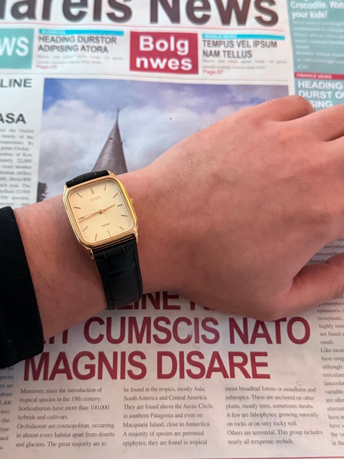 세이코 Seiko 쿼츠 스피릿 스퀘어 골드  상품이미지4