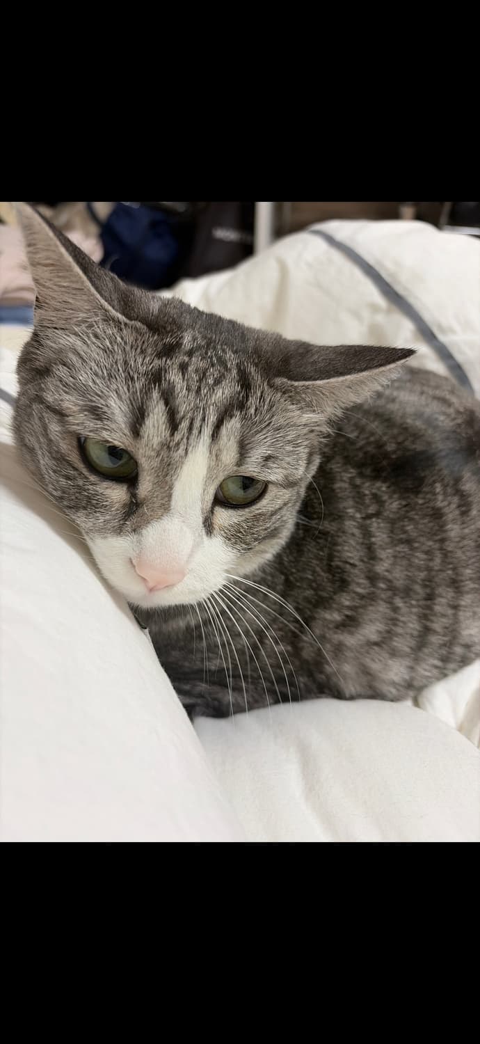 결제창 상품이미지1