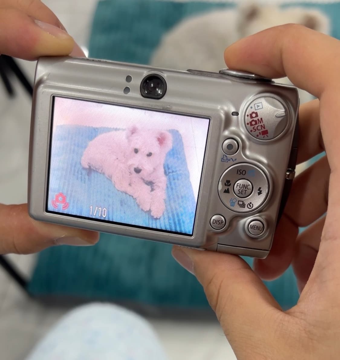 캐논 ixus750 상품이미지6