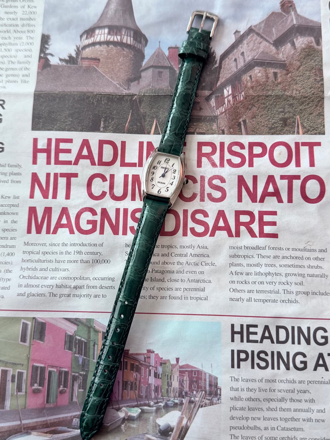 세이코 Seiko Exceline 레이디스  상품이미지2