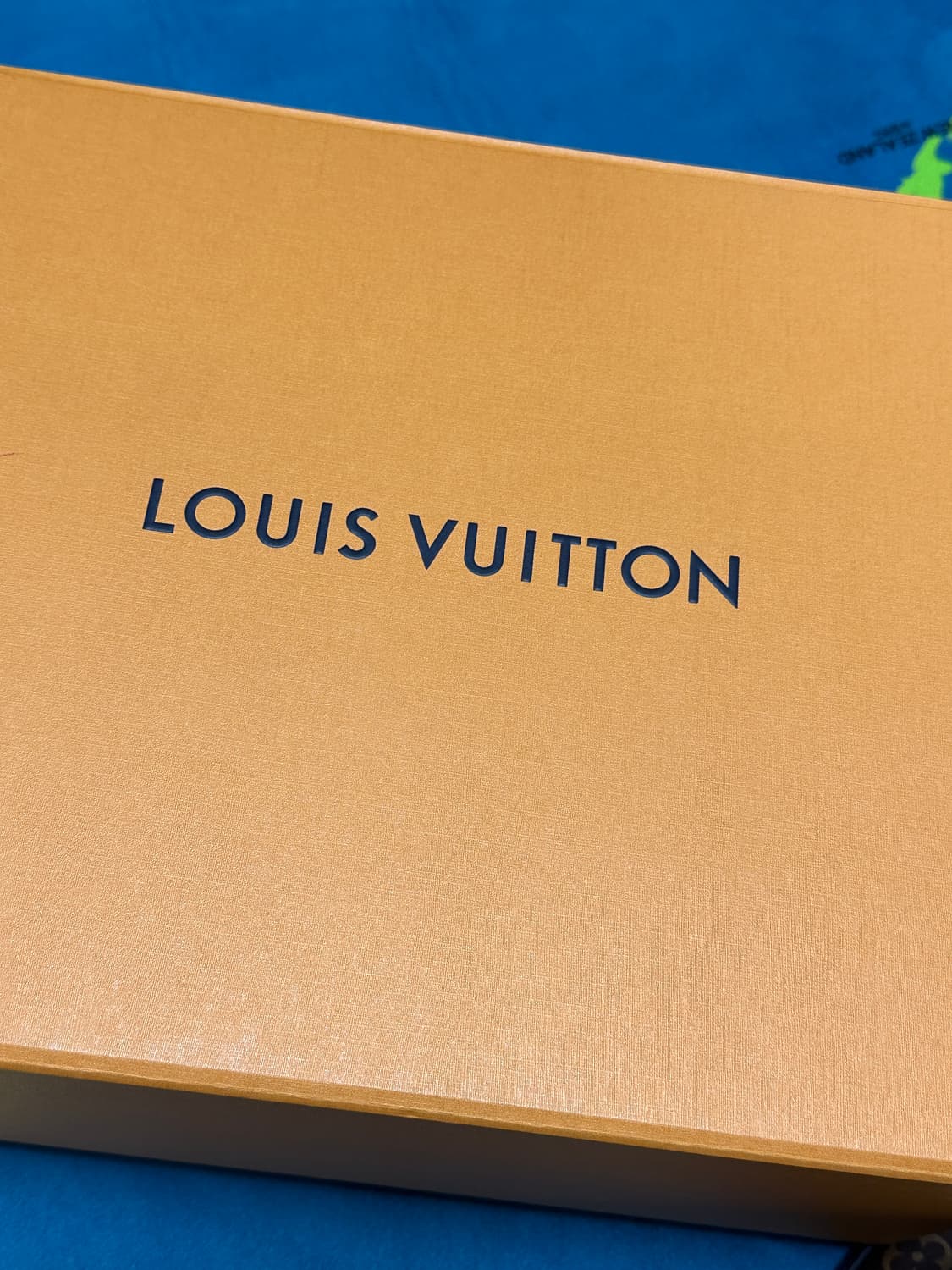 루이비통 팜스프링스 백팩 상품이미지2