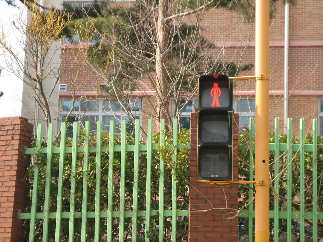 📸캐논 익시60(익서스55) 디카 판매합니다(직접 찍은 작례⭕️) 상품이미지9