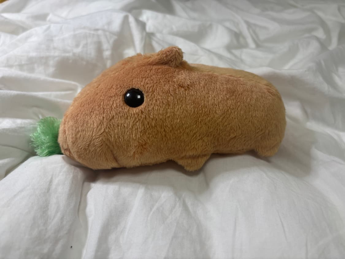 잡초 카피바라상 ! (작동 확인 X) 상품이미지1