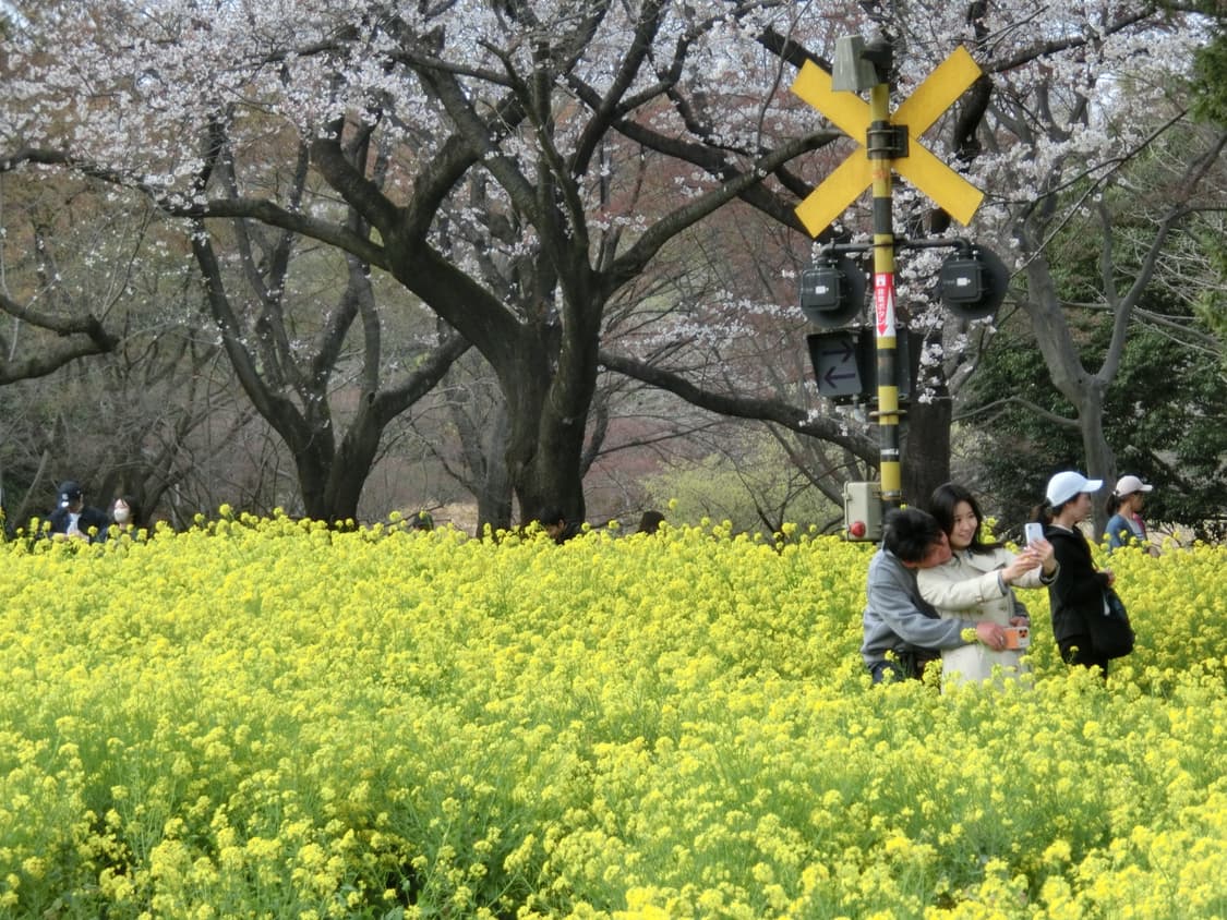 희귀 매물 예쁜 핑크 카시오 엑슬림 ex-zr400 상품이미지9