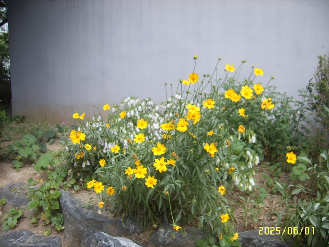 삼성 U-CA50 디지털카메라  상품이미지10