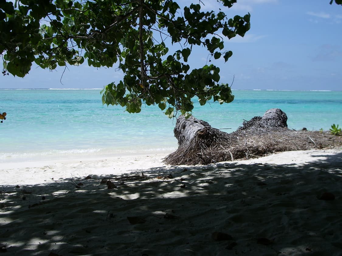 작례O 초소형 펜탁스 옵티오 s55 디지털카메라 빈티지 디카 상품이미지2