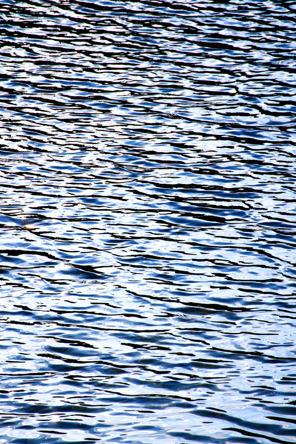 급처하는 옷들 구매합니다. 남자 XL 낮은 가격에 바로 구매합니다 상품이미지1