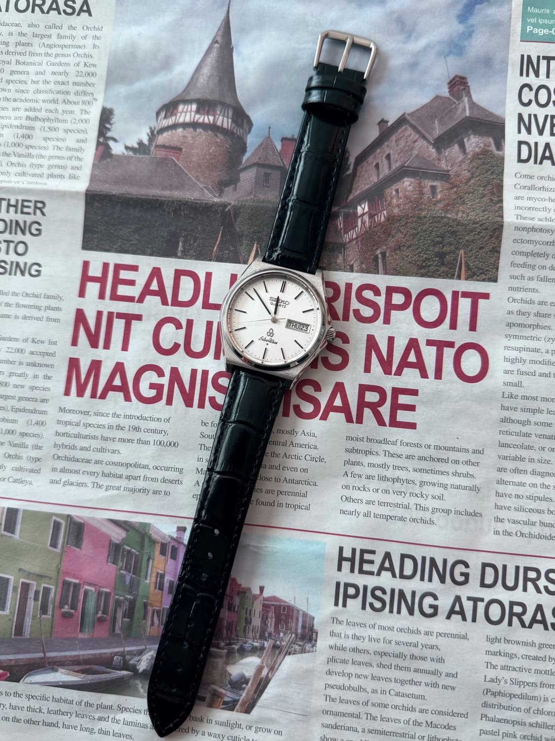 Seiko 세이코 SilverWave 데이-데이트 상품이미지2