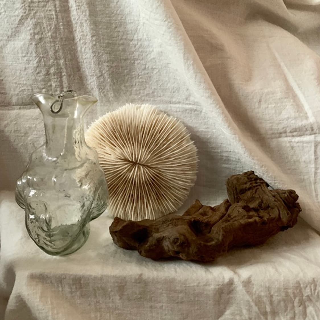 Round Coral Objet (S) 상품이미지2