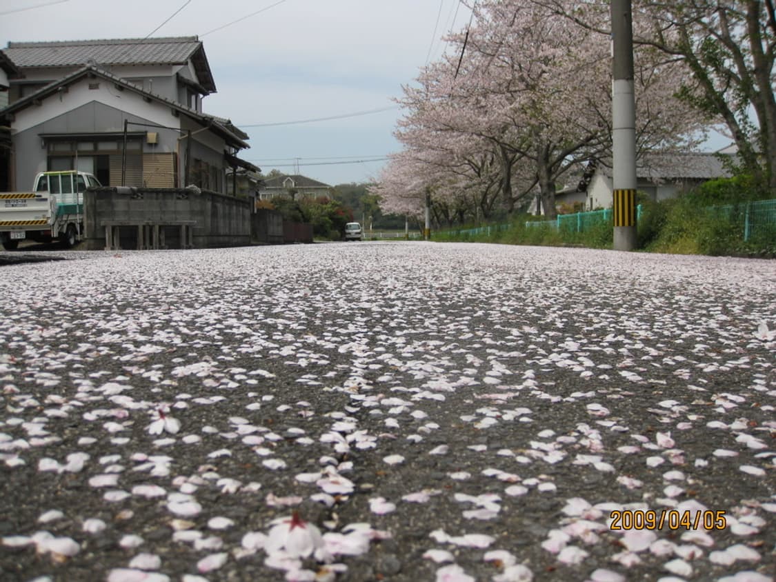 캐논 익서스 Canon IXUS 970 IS 실버 상품이미지5