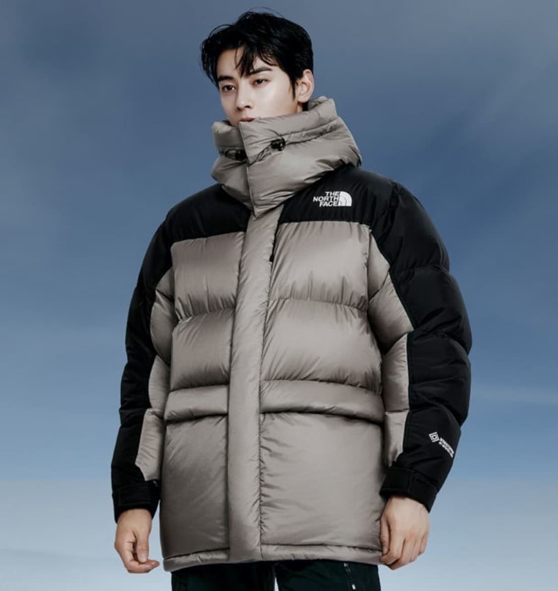 [xl/105]노스페이스 힘다운 상품이미지2